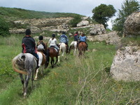 FORMATION ATE (Accompagnateur de Tourisme Equestre)